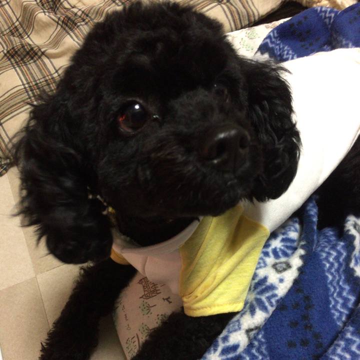 4700f88b 472c 4e5a 9515 412e90b75bac