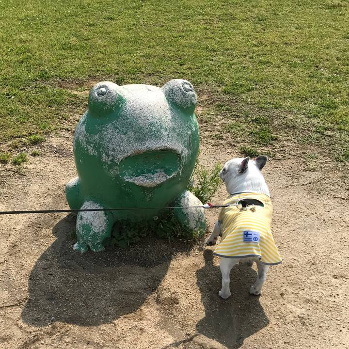 47014a95 9b84 4ae5 acb1 9263ee53d6e3