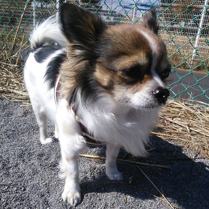 470150e7 c64e 40b9 b043 11f926765991