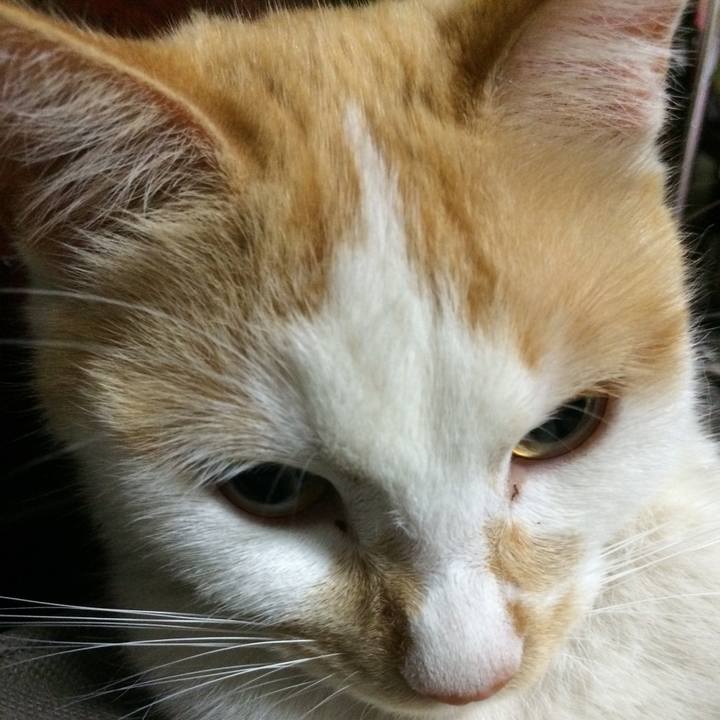 47018785 d0fe 41e5 83a1 bba2dc5e620b