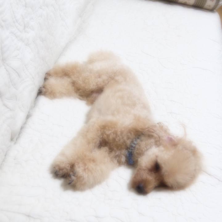 4701feca 5a8a 464f b982 b4de6559db07