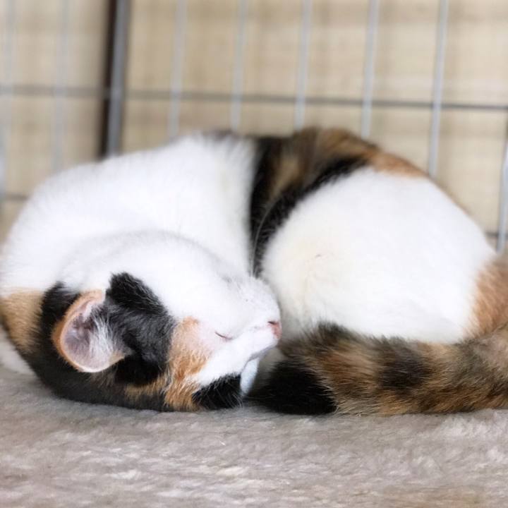 47022a6e 459e 4946 a897 b710c7583d3a