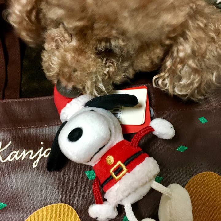 47025f58 f0b3 4780 ae48 909f57b288bb