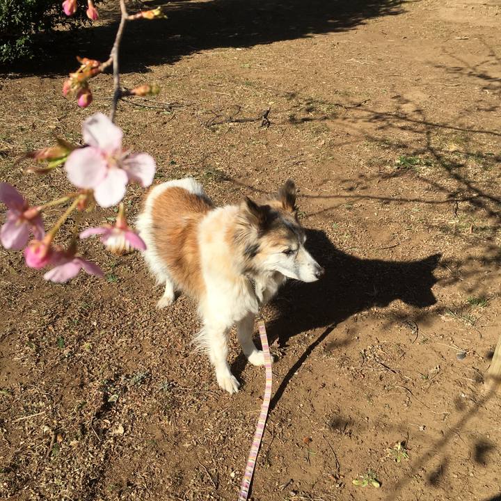 4702b70c cd60 4865 9445 80248de8f031