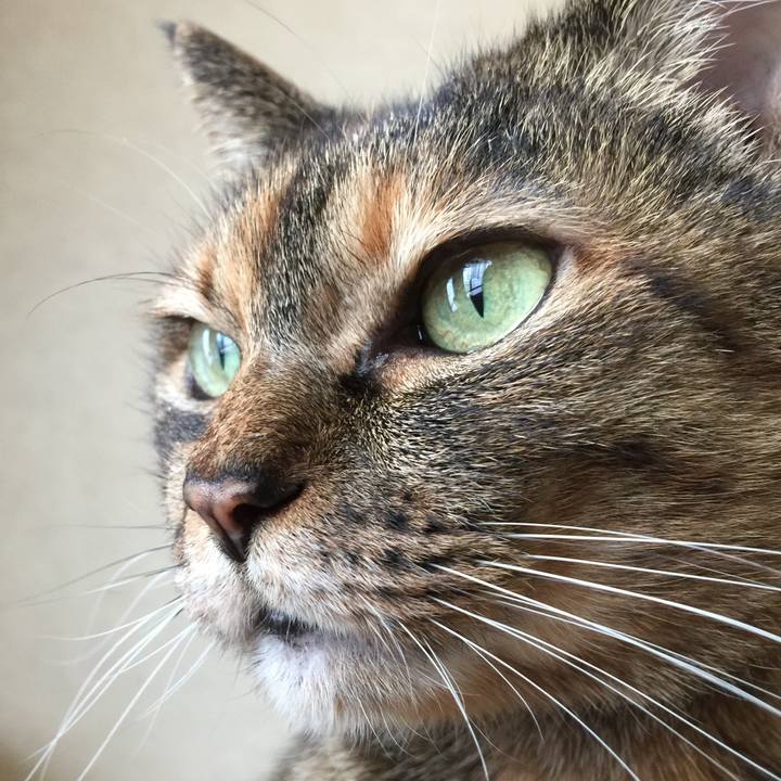 470385db 1510 4e5d ae7c 97dc7aa46c66