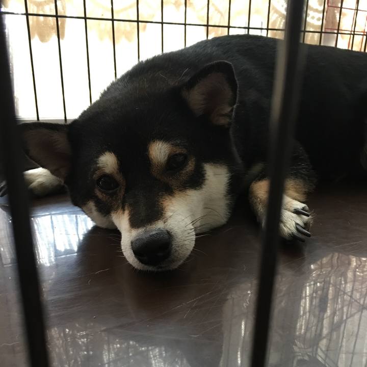 47038fcd 37fa 48f2 88bf fdb7721d1df7