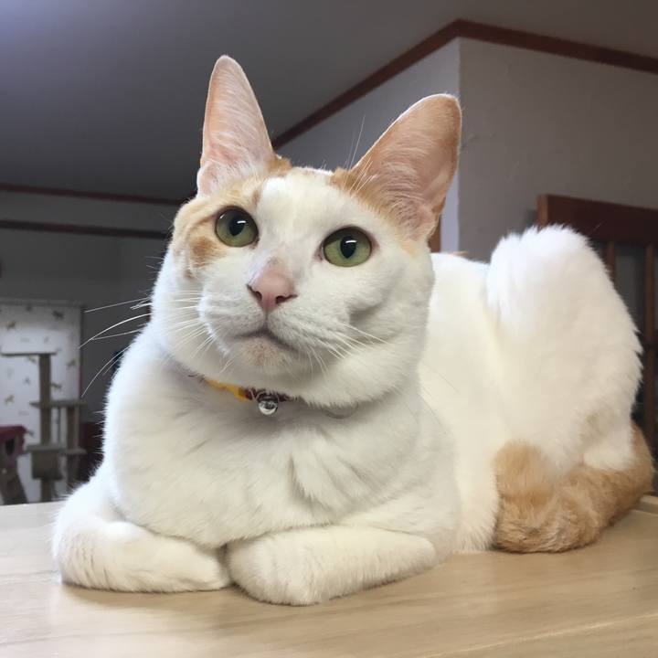 4703cf5a 4a88 4a49 8a21 9ae9f8f5fb4d