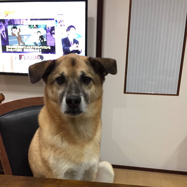 4703d2ed bba1 48fe 8245 0b36a4fd7b03