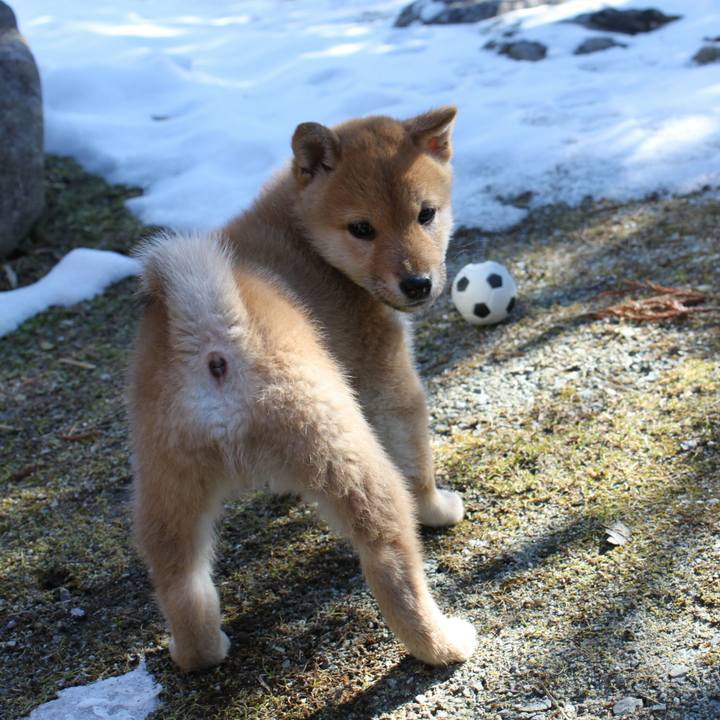 4704536b f6f9 42bf 900d 694bcc6f452f