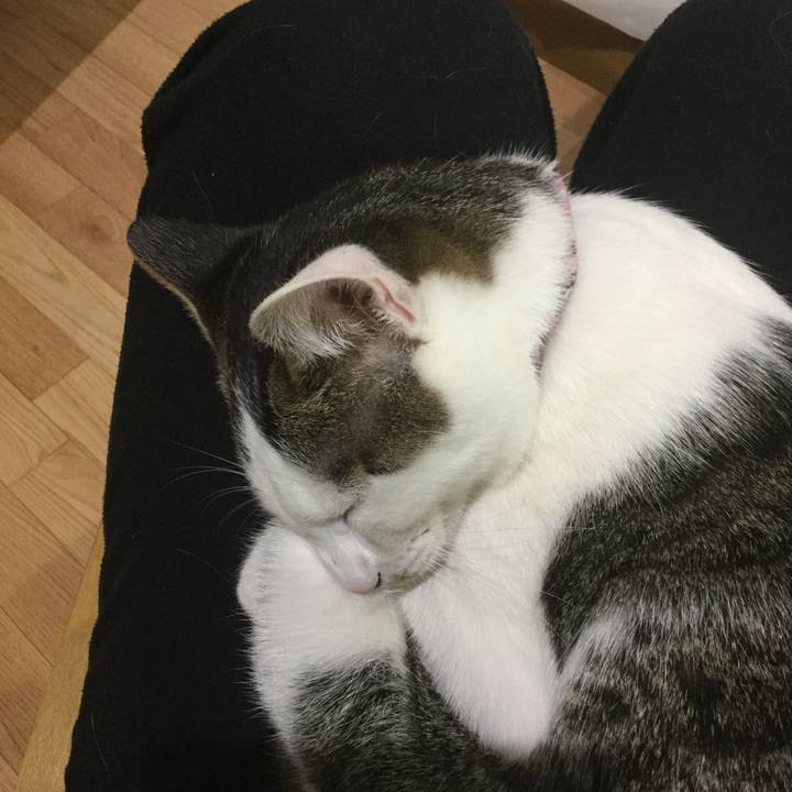 47048323 874c 42d8 abc9 0ce42ec7321f