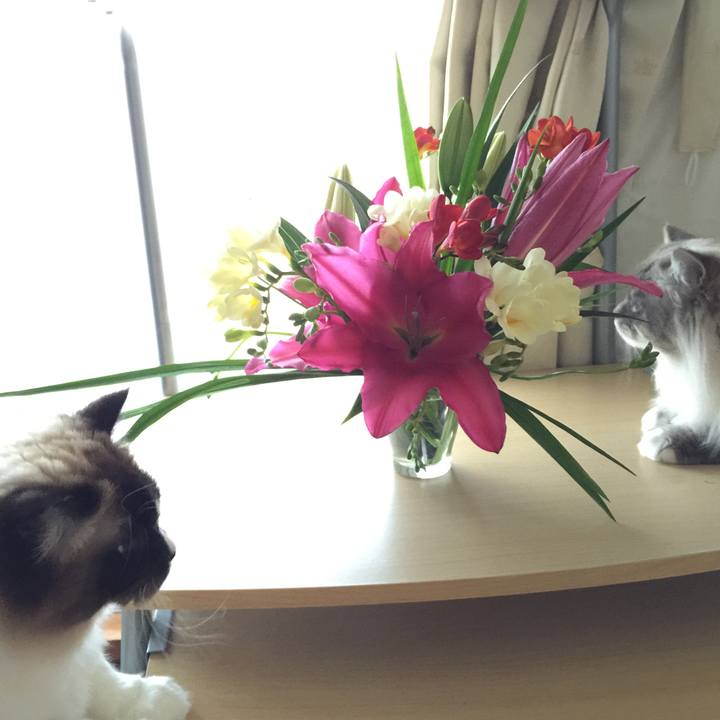 47050d49 b927 4bf4 ad98 588ad4725e18