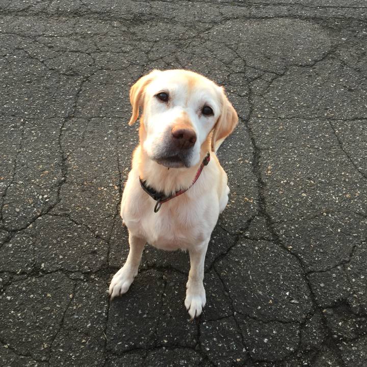 47054864 3480 48a9 9277 cad9170af22e