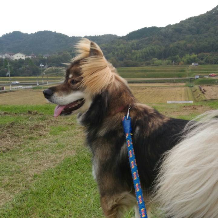 47056801 630e 42e8 b5fc ca68575b709a