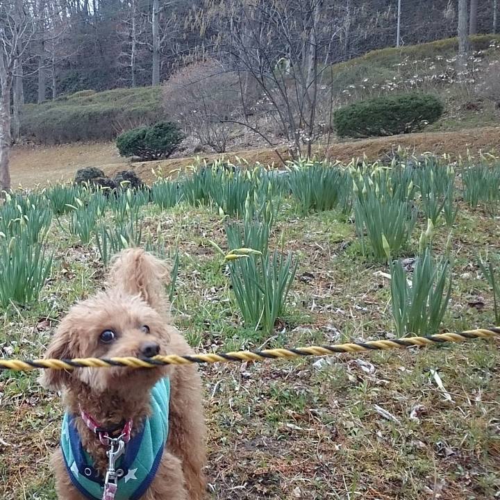 4705e283 5dc3 4fee a0c6 6f0b5c4f3633