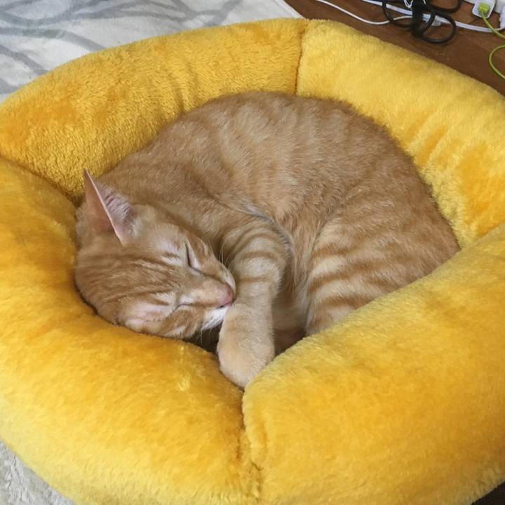 47065368 43bd 405b b2fb c5fdc2f19fb0