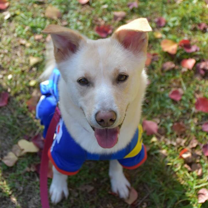 47066b55 3032 4384 8492 9b625d04c5f5