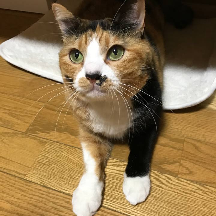 47072bb8 2a76 41d4 9923 47138be537d6