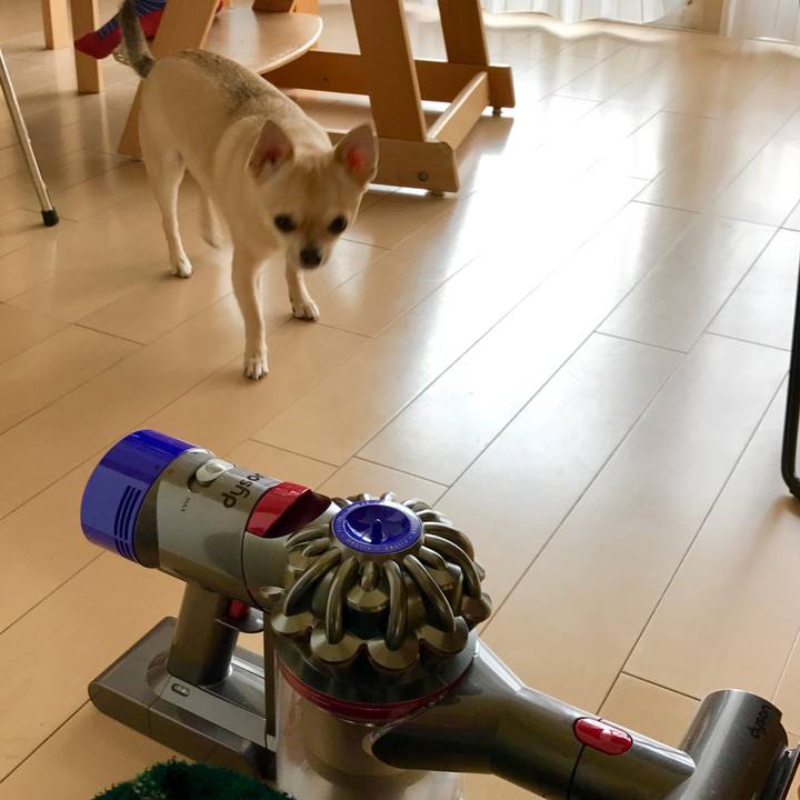 4707964c c6a0 42ed 8d19 e8e3c3a4bbd5