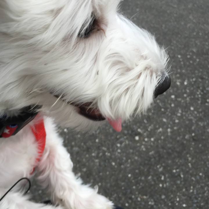 4707d1b1 daef 481a b8a3 e3a6b3912af0