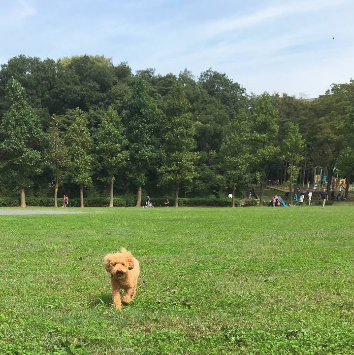 47083f0a d394 4f95 ad90 26869ec14e4f