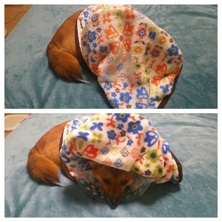 470860c6 3b35 479c 8ed1 54c9b2203531