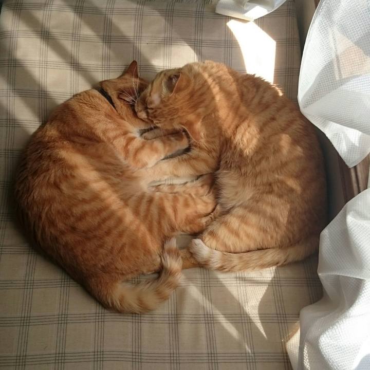 470876d8 70ef 4af6 9e39 315dd5185f35