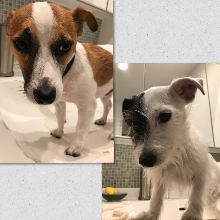 470a0b21 49c2 4c3b 8f9f f2f4158acba9