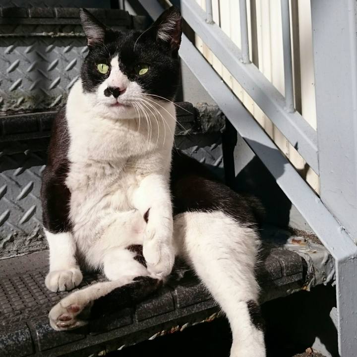 470a1b10 4c13 4186 9316 22563caacd93