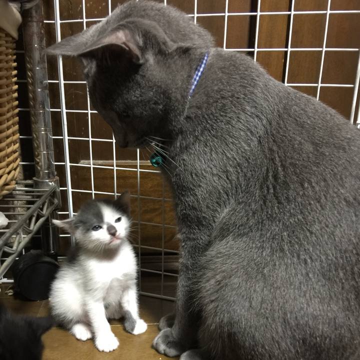 470a2cfd 07c2 479f 8de5 fc61a4080696