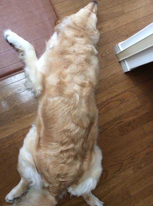 470a5bc1 7f1f 49df bed9 97d1b6669419