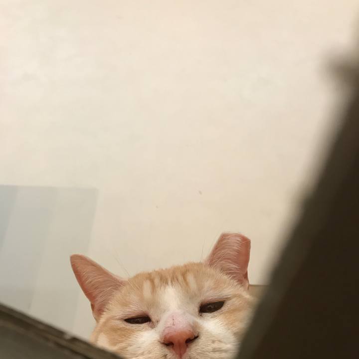 470a9bf1 2a7e 4c09 8584 c45b36afb842