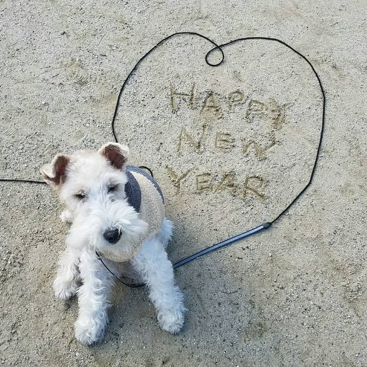 470ba3b9 8a2d 4f79 a0f0 95c2d0ad2875