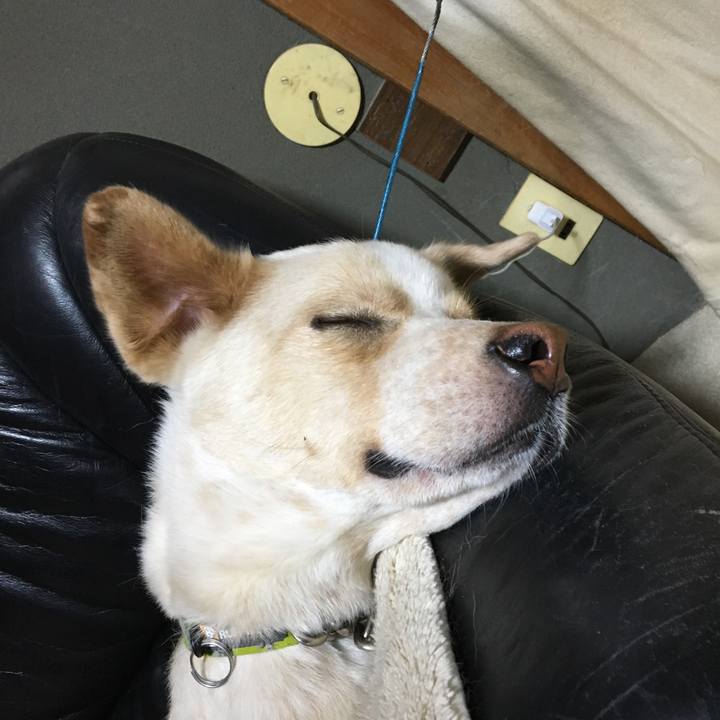 470bfbf0 856d 4a9c 84d7 2b01d29bac9c