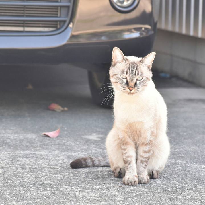 470c048e 784b 452a 9787 24c6627ec622