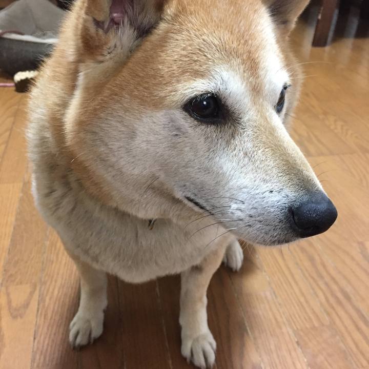 470cecdb f2ca 4a42 9da0 f1d9118e62e3