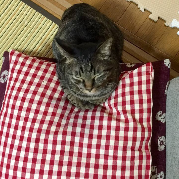 470dad83 0c50 4c85 acd5 07e912c421f0