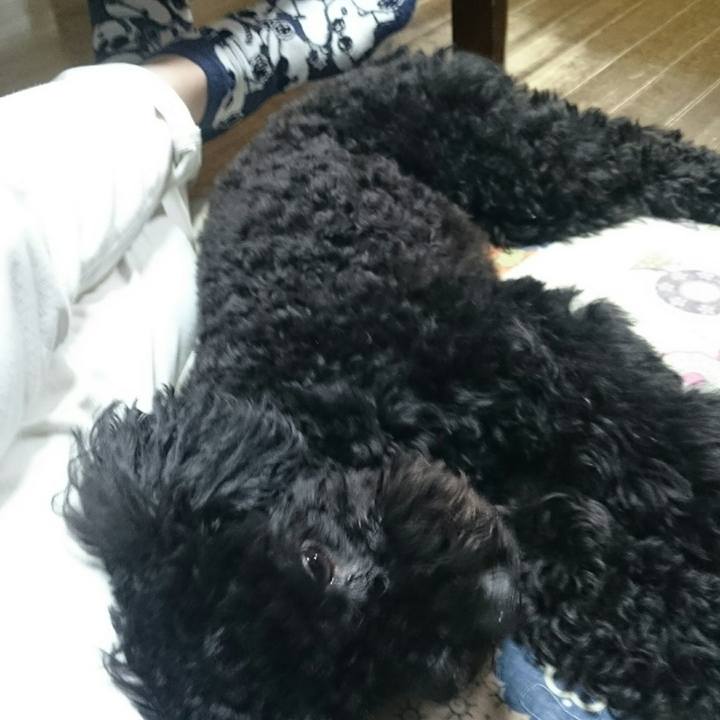 470db8b9 092e 4600 99cd 3010d31e8ce3