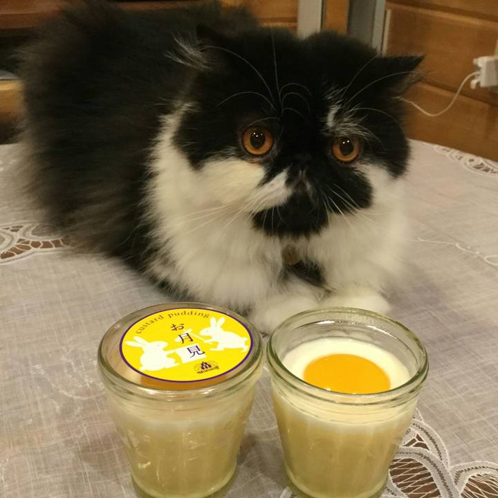 470dcc28 1dee 42b3 95c9 5710d7e497f8