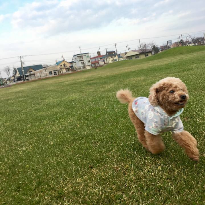 470df564 bd17 4462 8b9e ebff692ff57d