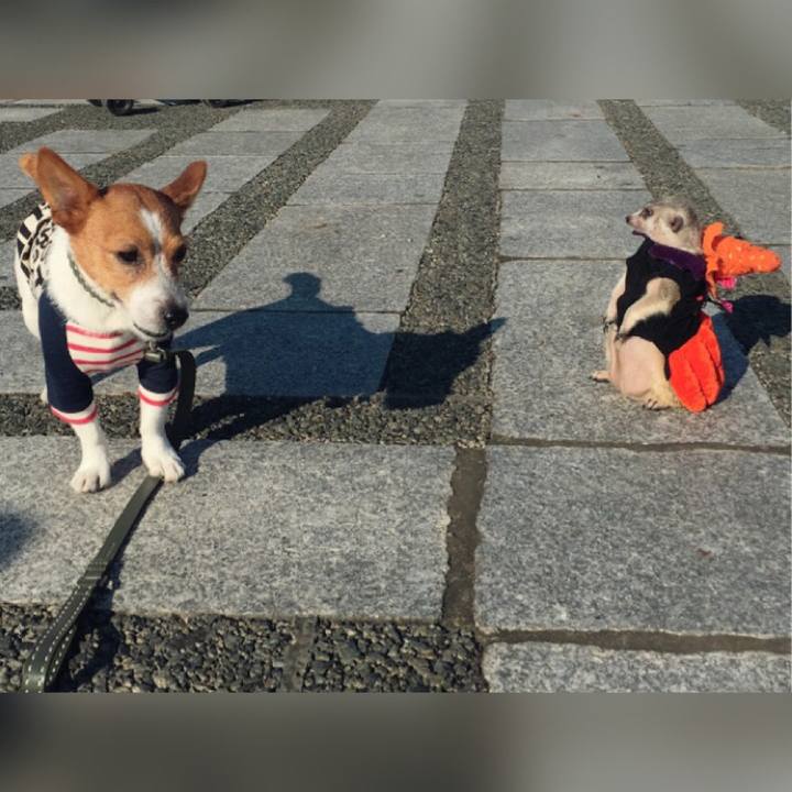 470e35a5 a715 41f6 9369 6bff385440ac