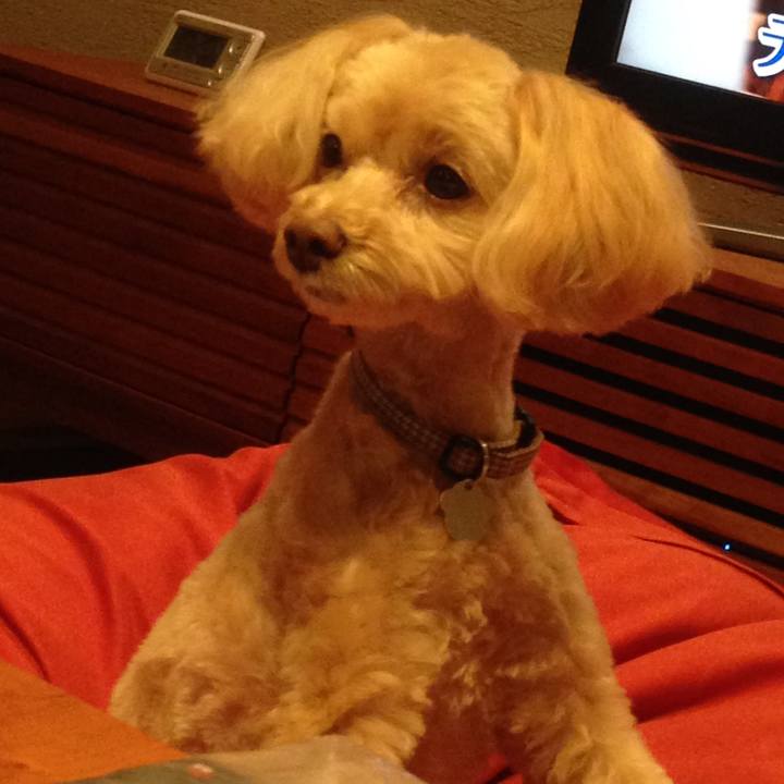 470e4be7 58f7 4541 bc85 69055979b4e6