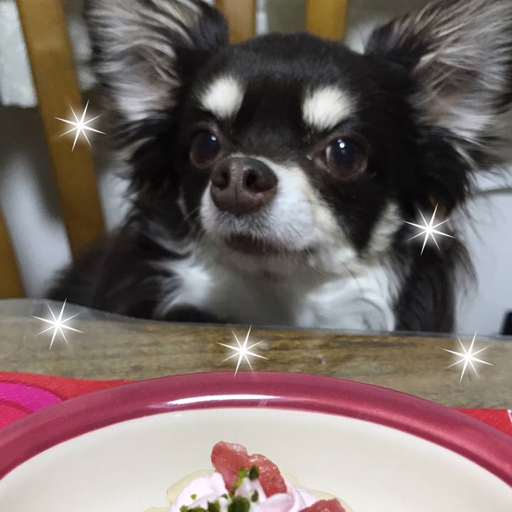 470e7f28 9f50 4cce 8b06 d44eec680b84