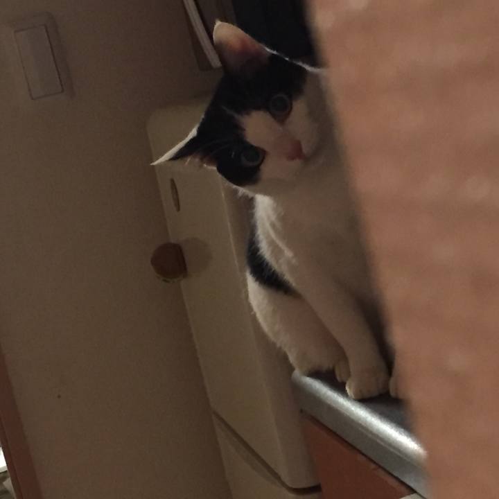 470f106b e4f4 46a0 a713 fe3482b532a4