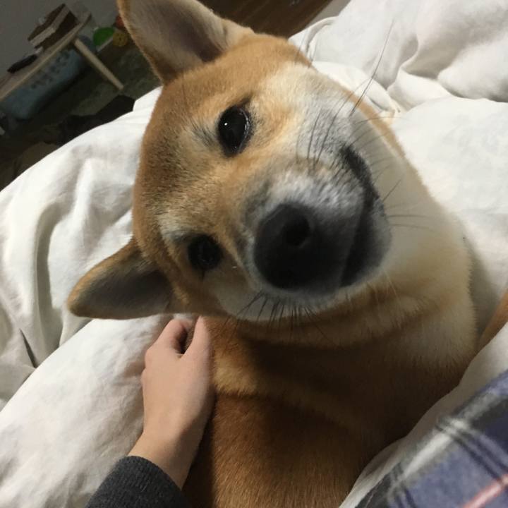 470f73d3 aae3 4dfb 8658 988685bbe275