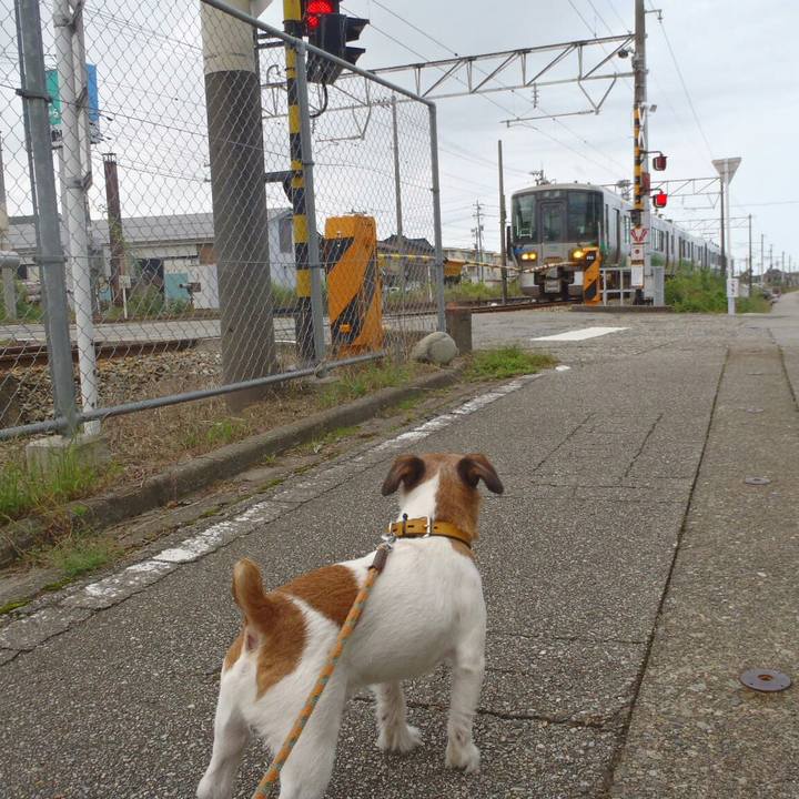 470fa491 57c2 4d39 b40c 6389bddc20d9