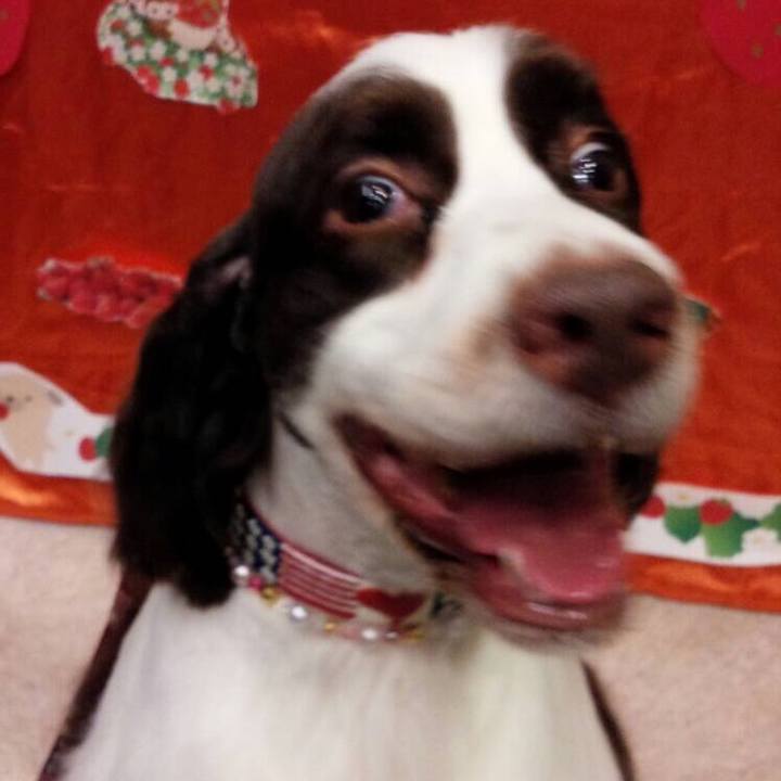 470fb33e b4c6 49ab a3ae ae8d5e213e03