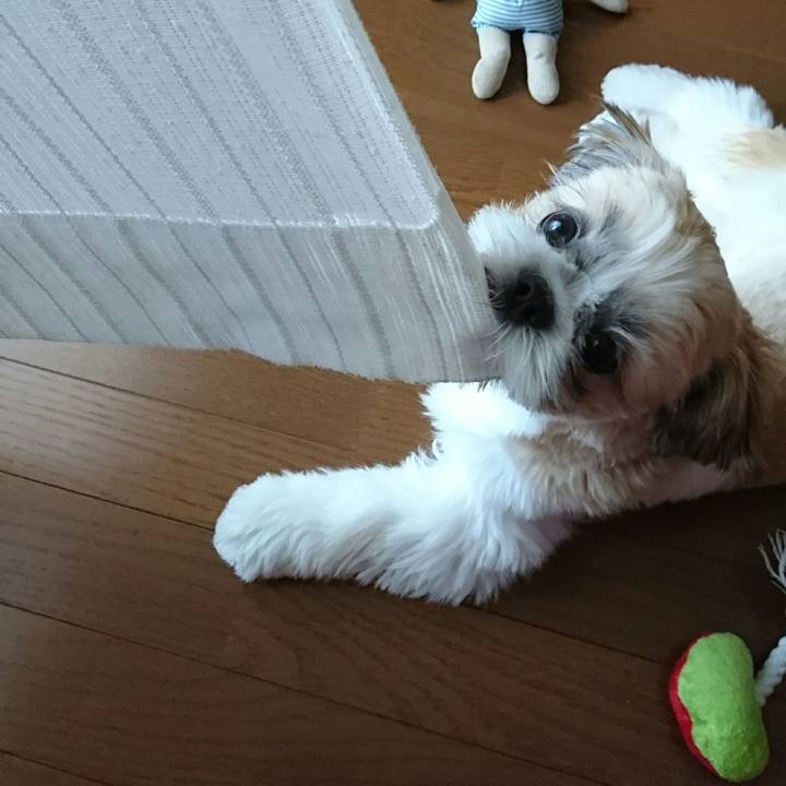 470fb927 4049 49cb 90fc 1a5c63634900