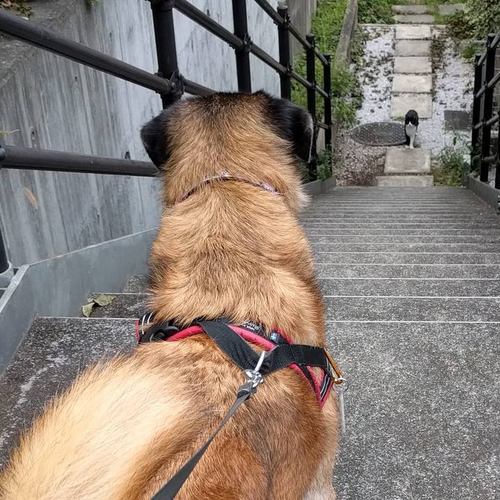 470ffc44 3f6b 471d a8c5 ec3daa400b41