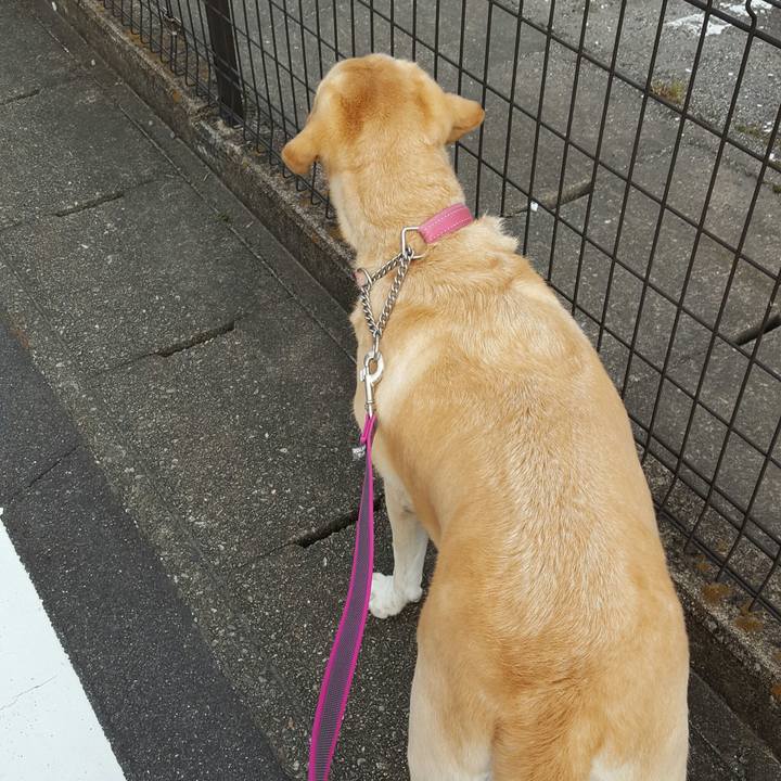 47103277 1c78 4d21 8b5c 76d4a7753a17