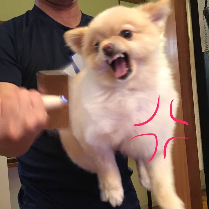 47106d69 2677 4916 a36a 459e5511a601